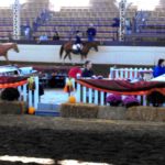 horse fair (2)